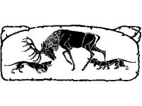 DSGN0744.jpg