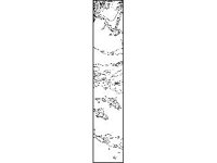 DSGN0743.jpg