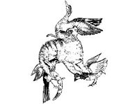 DSGN0741.jpg