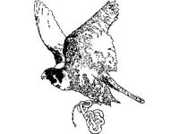 DSGN0731.jpg
