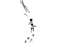 DSGN0720.jpg