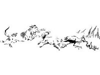 DSGN0718.jpg