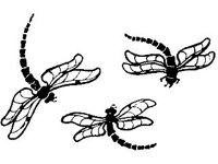 DSGN0868.jpg