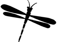 DSGN0858.jpg