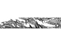 DSGN0856.jpg