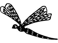 DSGN0854.jpg
