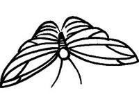 DSGN0808.jpg