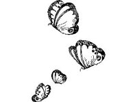 DSGN0807.jpg