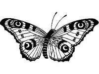 DSGN0786.jpg