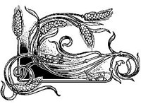 DSGN0780.jpg