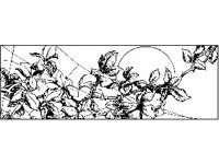DSGN0776.jpg