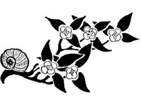 DSGN0775.jpg