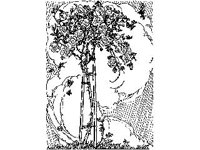 DSGN0774.jpg