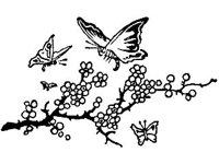 DSGN0760.jpg