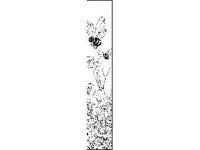 DSGN0756.jpg