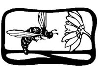 DSGN0755.jpg