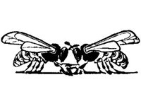 DSGN0754.jpg