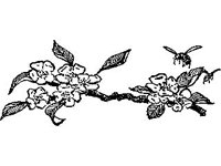 DSGN0751.jpg