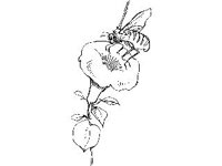 DSGN0749.jpg