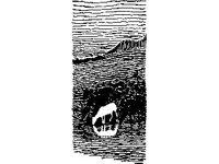 DSGN1268.jpg