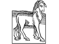 DSGN1261.jpg