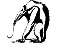 DSGN1260.jpg