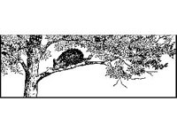 DSGN1248.jpg
