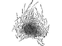 DSGN1206.jpg