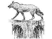 DSGN1195.jpg