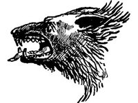 DSGN1186.jpg