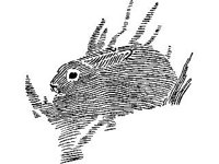 DSGN1164.jpg