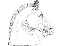 DSGN1161.jpg