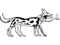 DSGN1103.jpg