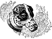DSGN1098.jpg