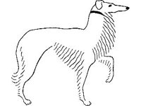 DSGN1078.jpg