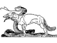 DSGN1068.jpg