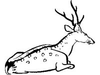 DSGN1028.jpg
