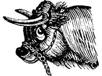 DSGN1000.jpg