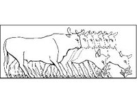 DSGN0995.jpg
