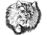DSGN0978.jpg
