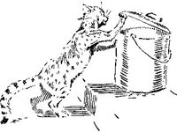 DSGN0968.jpg