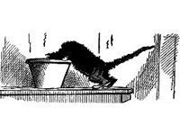 DSGN0966.jpg