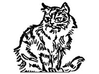 DSGN0964.jpg