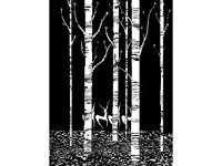 DSGN0960.jpg