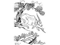 DSGN0949.jpg