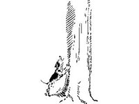 DSGN0935.jpg