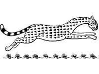 DSGN0905.jpg