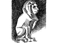 DSGN0876.jpg
