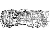 DSGN1310.jpg
