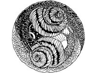 DSGN1308.jpg